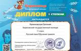 Калиновская Евгения, 22д